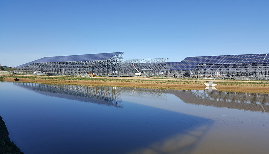   案例分类  Europe | World-leading Solar Module Manufacturer | Talesun Solar