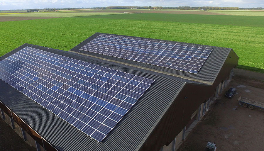   案例分类  Europe | World-leading Solar Module Manufacturer | Talesun Solar