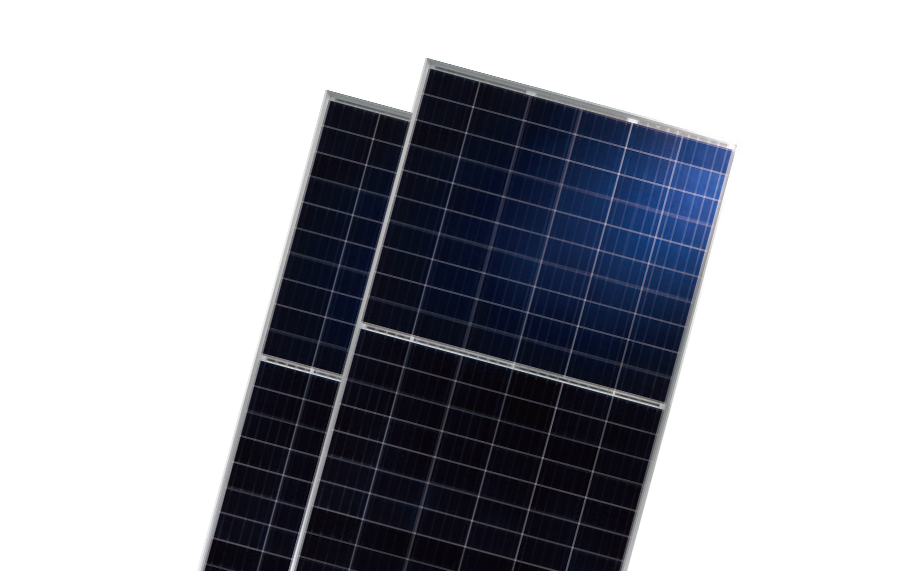   BISTAR TP6H60P &#038; TP6H60P(H) | World-leading Solar Module Manufacturer | Talesun Solar