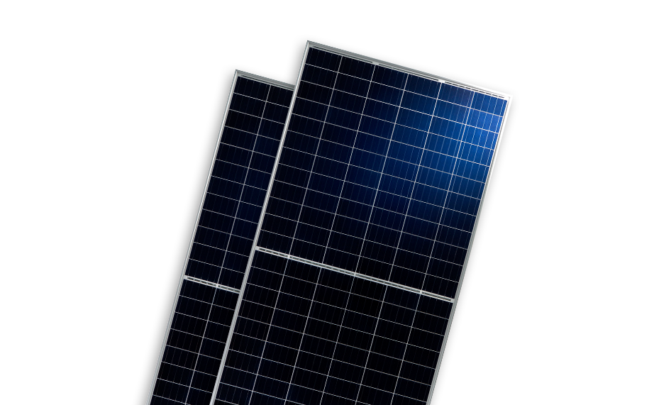   BISTAR TP6H72P &#038; TP6H72P(H) | World-leading Solar Module Manufacturer | Talesun Solar