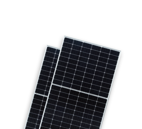   BISTAR TP7F72M &#038; TP7F72M(H) 10BB | World-leading Solar Module Manufacturer | Talesun Solar