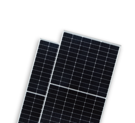   BISTAR TP7F72M &#038; TP7F72M(H) 10BB | World-leading Solar Module Manufacturer | Talesun Solar