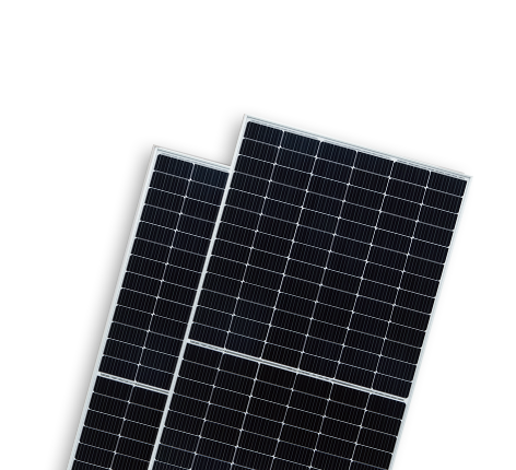   BISTAR TP7F72M &#038; TP7F72M(H) 10BB | World-leading Solar Module Manufacturer | Talesun Solar
