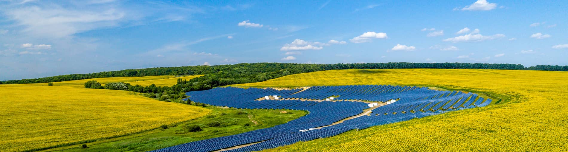   Project Development and EPC | World-leading Solar Module Manufacturer | Talesun Solar