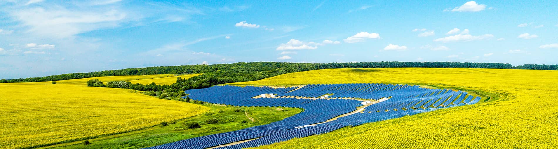   案例分类  Europe | World-leading Solar Module Manufacturer | Talesun Solar
